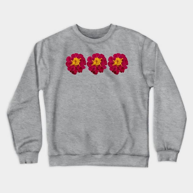 Three Red Marigold Flowers Floral Photo Crewneck Sweatshirt by ellenhenryart